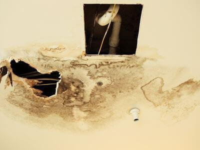 Professional water damage restoration services in Baileyton,	AL - Professional Water Mitigation & Cleanup Services